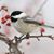 Beth Fugate Hildebrand's profile image