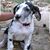Michelle Lukowski George's profile image