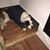 Helena Barnett's profile image