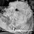 Kathy Davis Troutman's profile image
