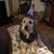 Patricia Gulliver's profile image