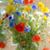 Eva-Maria Rill's profile image