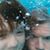 Patrick Collon's profile image