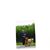 LeAnn Janke's profile image