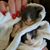 Penny Clark Dougherty's profile image