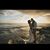 Donna Mello's profile image