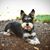 Obie Cannoli's profile image