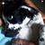 Teresa White's profile image