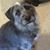 Michelle Newell's profile image