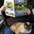 Janet Koepke's profile image
