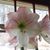 Donna Ducharme- Shuman's profile image