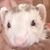 Brian Henley's profile image