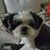 Teri Apodaca's profile image
