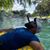 Luis Jara's profile image
