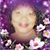 Sharon Wright's profile image