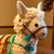 Tracy Doyle's profile image