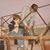Tom E. Shaw's profile image