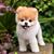 Maggie Sullivan's profile image