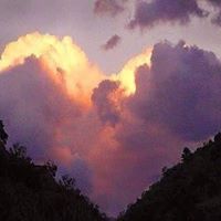 Linda Losey's profile image