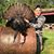 Joseph Hetrick's profile image