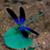Mary Pleggenkuhle Clark's profile image