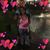 Angel Timmons's profile image