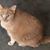 Linda Cislo's profile image