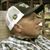 Frank Neal's profile image