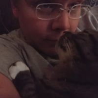 Ian D Davis's profile image