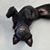 Kimberly Whitton's profile image