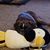 Renee Weinhart's profile image