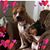 Beth Kirwin's profile image