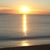 Michelle Madorsky's profile image