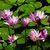 Judi Blessinger's profile image