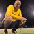 Frank G. Rossi's profile image