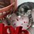 Kim Nulph's profile image