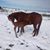Mindy Glover's profile image