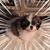 James Bjorkman's profile image