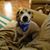 Tina Marie Matthews's profile image