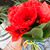Mariya Sheshkutova's profile image