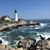 Melinda Ronacher Farmer's profile image