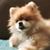 Nancy Wallace Shaler's profile image