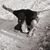 Pauletta Bowers's profile image