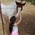 Donna Garcia's profile image