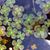 Sherry Clover's profile image