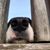 Shamis Malonie's profile image