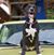Denise Gilliam's profile image