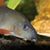 Shannon Mobley's profile image