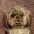 Shirley Burbage's profile image