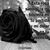 Guillermo Marroquin Valencia's profile image